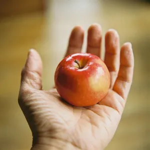 A realistic photo of a hand holding a red apple, with all fingers clearly visible. - Bytedance Seedream 4.5